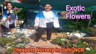 मार्च&ndash;अप्रैल तक खिलने वाले फूल | Best Spring Flowering Plant Nursery | Cheapest Nursery Visit 