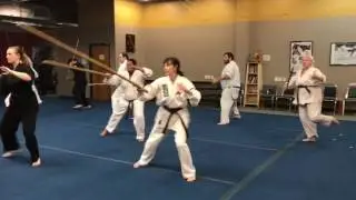 Austin Kung fu Memories July 5th 2017
