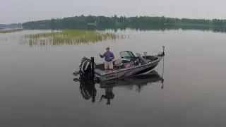 Shallow Spring Bluegill