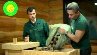 The Cedar House