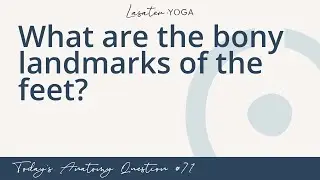 Today’s Anatomy Question #71: What are the bony landmarks of the feet?