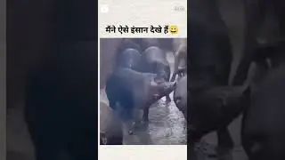 Viral #videos Funny🤣🤣#Maine aisa Insan Kabhi Nahin Dekha funny video
