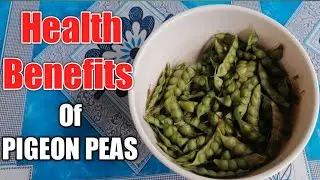 Health Benefits Of Pigeon Peas #healthbenefits #pigeonpeas #homegardening