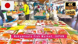 🐟Japanese Local Fish Market Walk in Nakaminato, Ibaraki &bull; 4K HDR