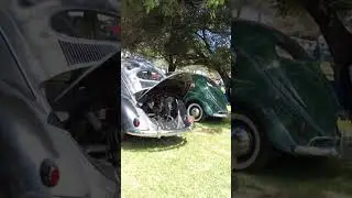 Walking the Classic Oval Window Beetles at VW Treffen SoCal