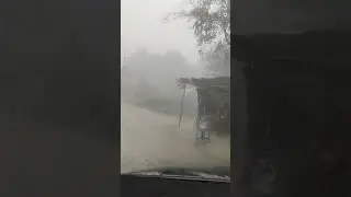 Foggy mountain road