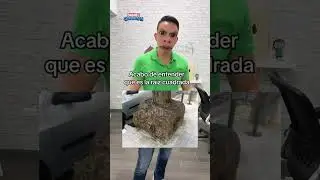 &iquest;Ya saben cual es la ra&iacute;z cuadrada?