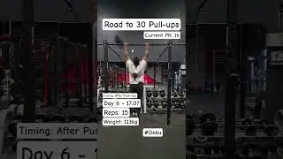 Road to 30 Pull-ups in 2025 #calisthenics #fun #pullups #fitness