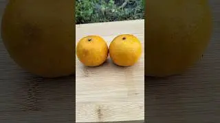 Mini Orange 🍊 #shorts #food #viral #ytshorts