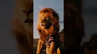 #aliwalay
