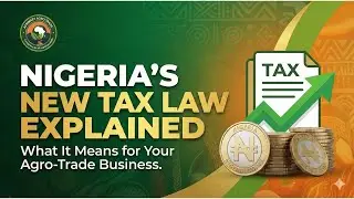 Nigeria's New Tax Law Explained