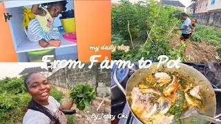 A Few Days in My Life | Farm to Pot 🍃🥘 Cooking Fresh Nigerian Vegetable Soup from the farm