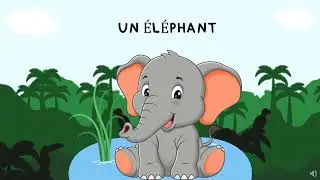Les animaux sauvages - wild animals in french 