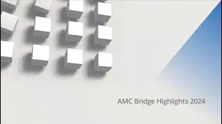 AMC Bridge&rsquo;s 2024 Highlights