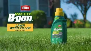 How To Use Ortho&reg; Weed B-GON&trade; Lawn Weed Killer Concentrate