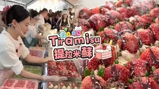 擺攤賣提拉米蘇，20260129PART2挑戰賣出80盘Tiramie🍰#蛋糕 #小吃#food #夜市#cake#美食#streetfood #eat#cakedecorating#街头美食