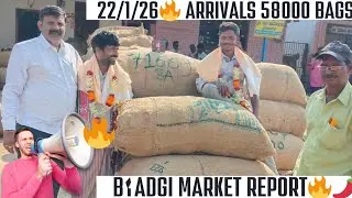 22/01/2026🔥🌶️ Fire Price Today Byadgi 🔥🌶️ Karnataka Dry Red Chilli Market Report Fire In The price 🔥
