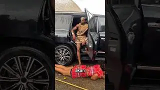 Pesona Raja Hutan Afrika