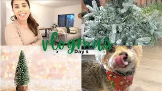 VLOGMAS DAY 1  2023 | Advent calendar | Tree flocking | Family Time