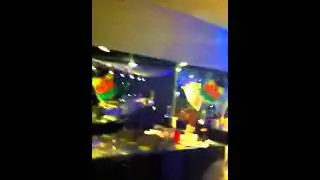 sprisse halloween party
