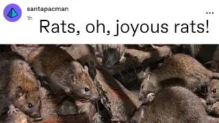 Oh, joyous rats!