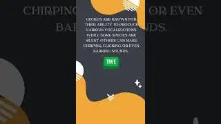 true or false fun quiz short #quiz#fun#true or false#shorts