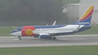 Foggy Mid Morning Plane Spotting at BWI Airport ft. 2 Special Liveries and more