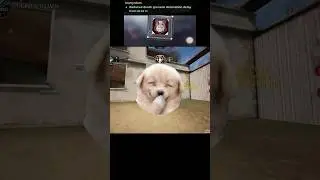 Martyrdom perk in CODM #callofduty #codm #shorts #callofdutymobile #cod #codmseason11 #martyrdom