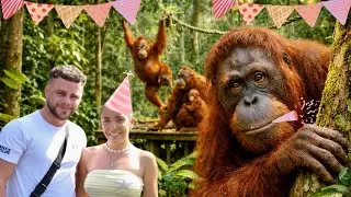 Birthday In Borneo Rainforest, Malaysia