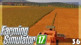 Wir haten Baluis Traktor - Landwirtschafts Simulator 17 - 36 - miri33, Balui, Items4Sacred
