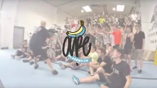 FARANG Jam - Ape Academy