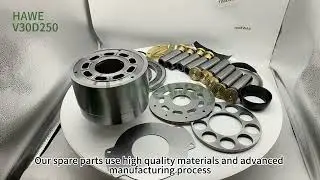Pump Repair Kits V30D250 Hydraulic Rotor Assembly for Repair HAWE Series Plunger Pump