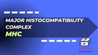 Major Histocompatibility Complex (MHC) & Antigen Presentation: Immune Recognition Explained