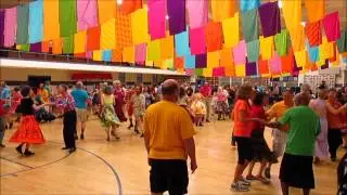 Folkmadness - D - 2013