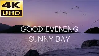 [Sunny Bay] Night. 1 hours SEA WAVES sound. Background noise. No music. No ads. Space out moment.