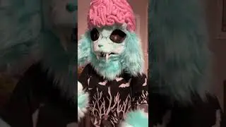 Jack Stauber fans, whats your favorite song by him? #fursuiter #fursuit #furryfandom #neopets