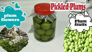 HOW TO PICKLED GREEN PLUMS || PLUM FRUITS