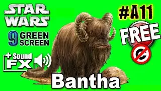 Bantha Green Screen 3D  from Star Wars Movies