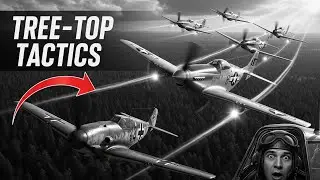 How American Pilots Terrified Hitler&rsquo;s Air Force with 