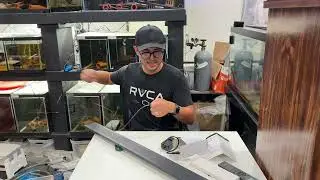 Don&rsquo;t buy an aquarium LED before watching this!@JKFishKeeping