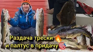 Раздача трески — и палтус в придачу! Рыбалка в Норвегии