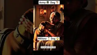 The military dog | sad emotional story 😭#shorts #poordog #army #military #surajai4