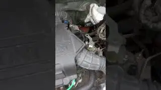Suzuki Celerio engine sound