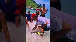 🔥100-Meter Net Pull Reveals Giant Fish and a Surprise Catch!#fishing #FishingShorts #EpicCatch #usa