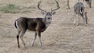 JH Ranch 2025