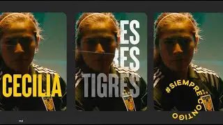 Así presentamos a Tigres Femenil para el  Apertura 2021