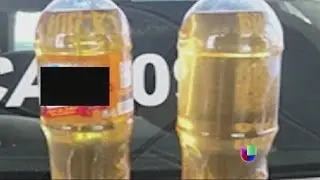 Nueva modalidad para transportar droga a Estados Unidos -- Noticiero Univisión