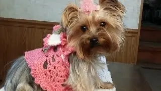 Crochet 