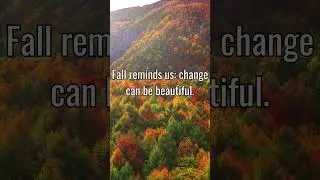 Beauty in Change #autumn #motivation #adapt #shorts