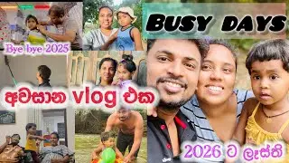 අලුත් අවුරුද්දට busy වුණු සතියක්||පුංචි රට ගියා||bye bye 2025||පොඩි හිත් සතුටු වෙන්න ලොකු දේවල් ඕනිද